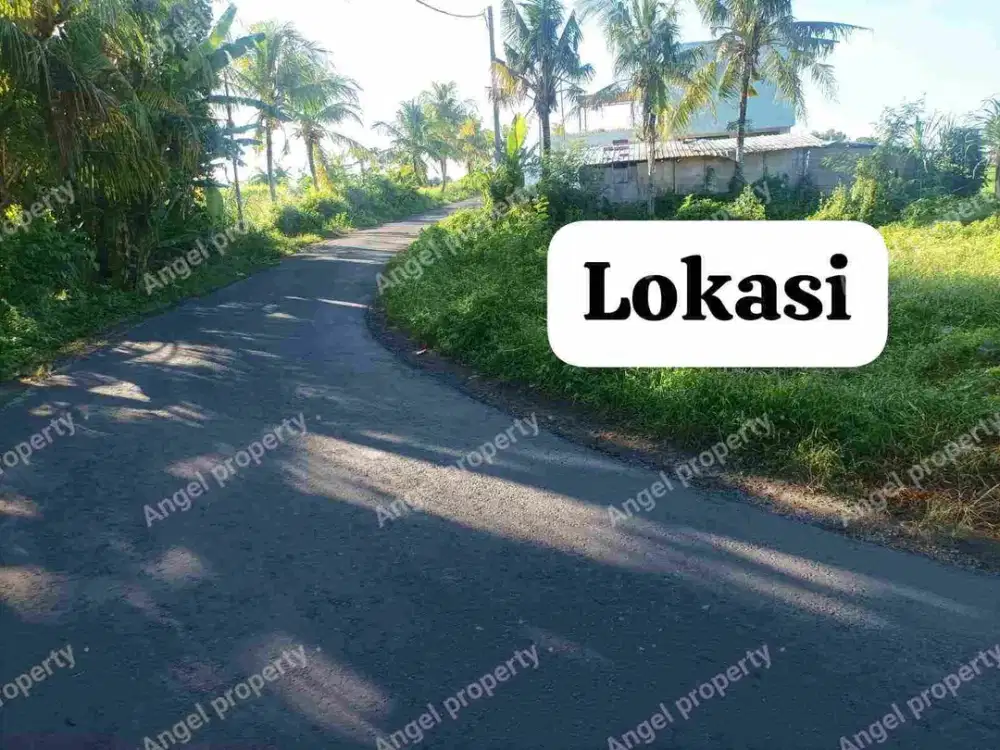 DIJUAL TANAH MURAH LUASAN  275MTR BUWIT