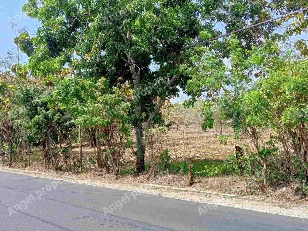 DIJUAL TANAH KUTUH KUTA SELATAN