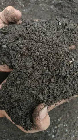 Jual Pasir Lumajang Begoan Kualitas Terjamin Harga Bersahabat! Malang