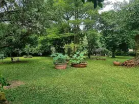 GARDEN HOUSE FOR SALE
CILANDAK

Lokasi: Cilandak, Jakarta Selatan

Spesifikasi:
 • LT 5500 m2
•⁠ ⁠LB 1200 m2
•⁠ ⁠1 Lantai
• Ruang Tamu
• Ruang Keluarga
• Ruang Makan
• 4 Kamar Tidur
• 3 Kamar Mandi
• 1 Powder Room
•⁠ ⁠Ruang Attic
•⁠ ⁠Teras samping & belak