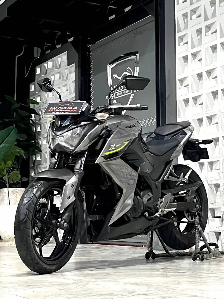 Z 250 SE Rare Item