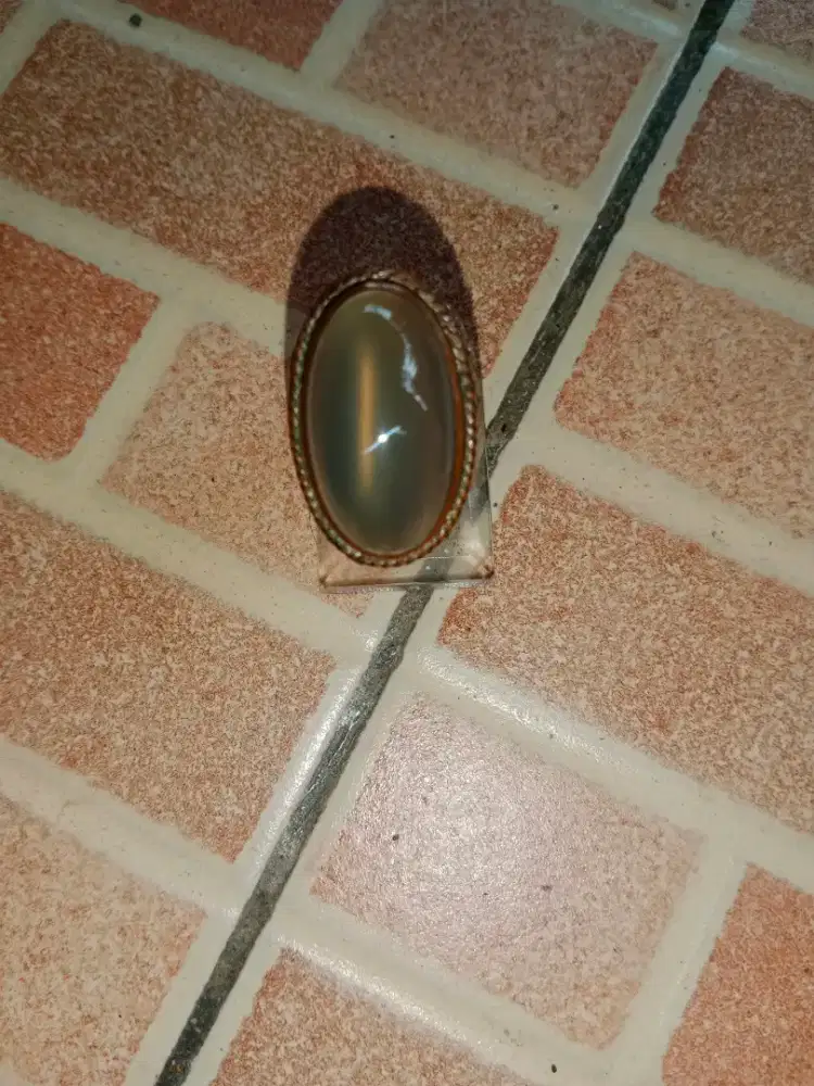 Anggur Pacitan Cat Eye