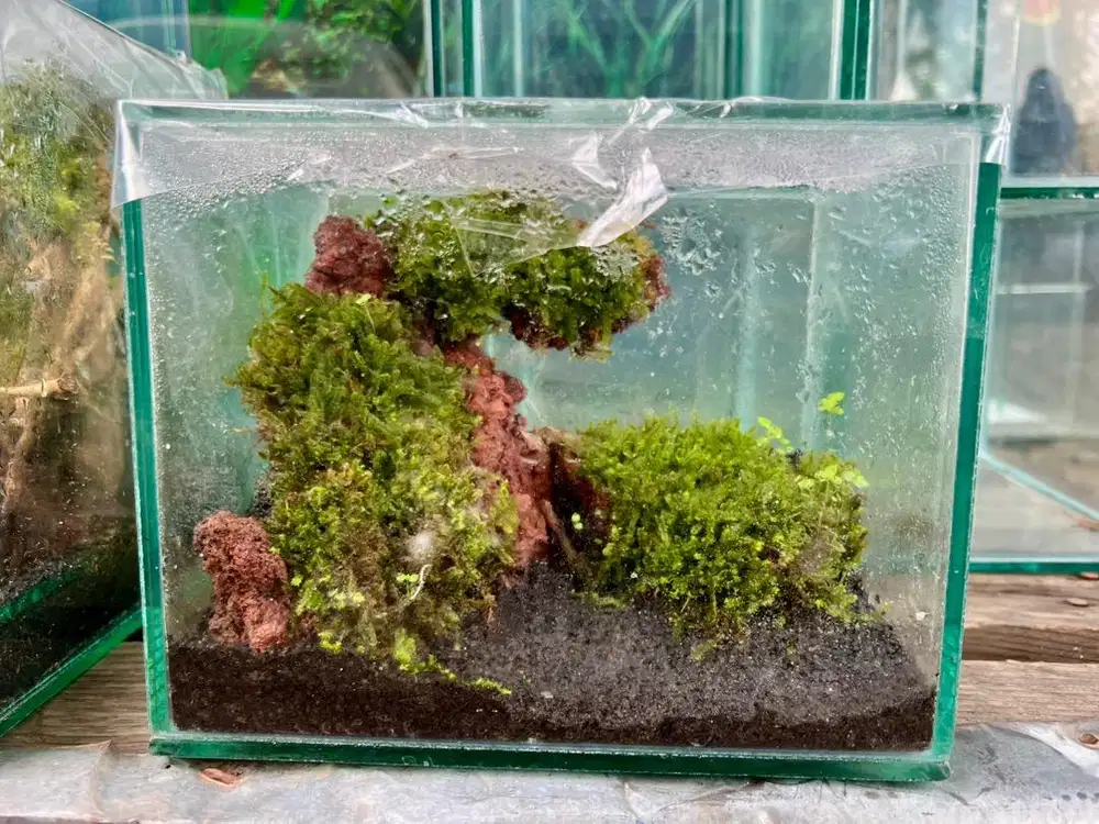 AQUARIUM AQUASCAPE FULLSET