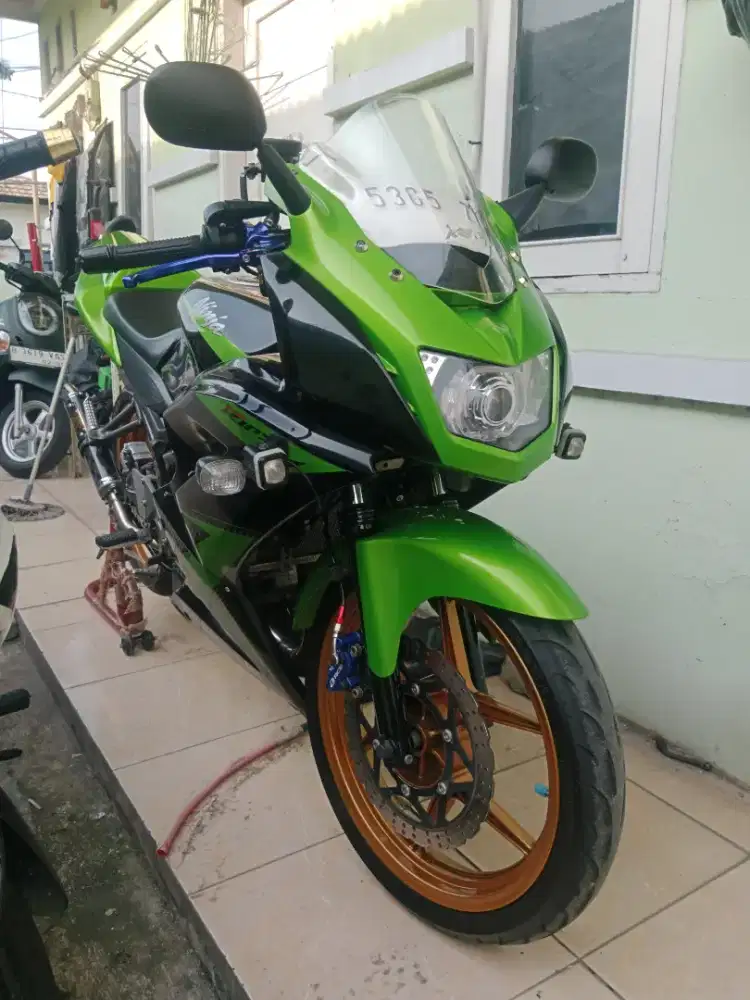 Ninja rr new hedon