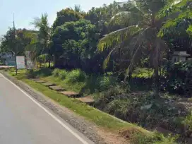 TANAH SHM SUPER STRATEGIS DEKAT PEREMPATAN BUNTU BANYUMAS JALAN NASIONAL