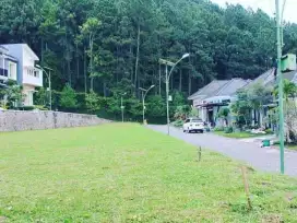 Sewa Villa Tahunan Kusuma Pinus Batu Malang