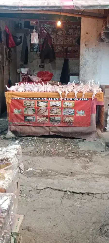 Ayam broiler fresh