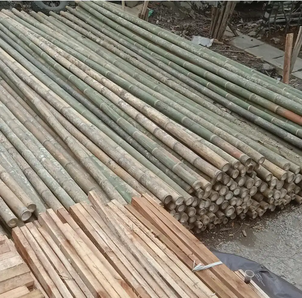 Jual Bambu steger  panjang 6 meter.