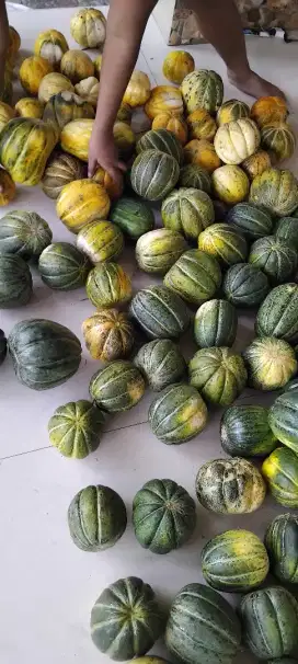 Blewa segar madurasa