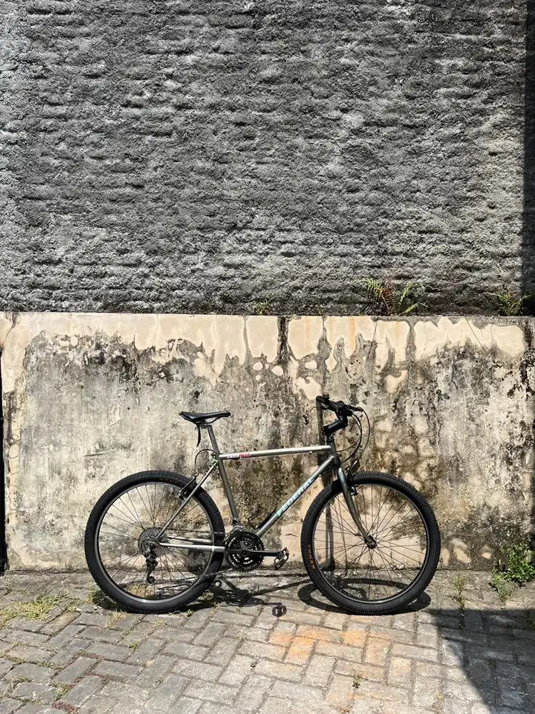 federal torino 26