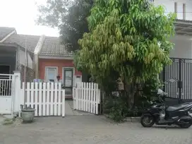 Perum Bukit Citra Mas Blok D No 24 Kel Petiken Driyorejo Kab Gresik