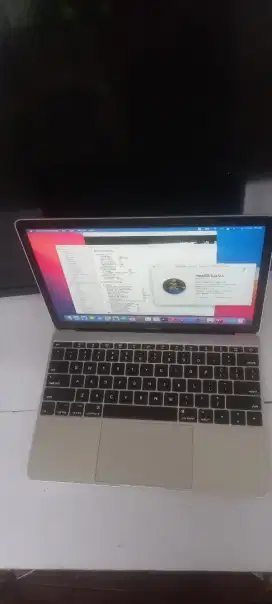 Macbook air retina 2017 8/256 Gb 12 inch Model A1534
