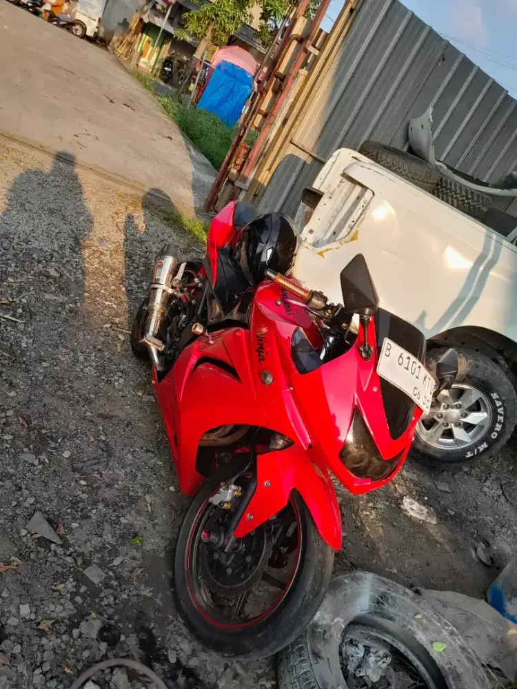 Ninja Karbu 250