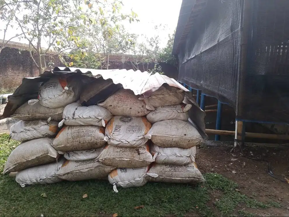 KOHE KAMBING READY SETIAP HARI