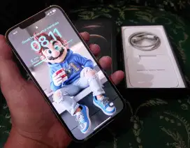 Iphone 12 Pro Max Rose Gold 256gb ( Digimap )