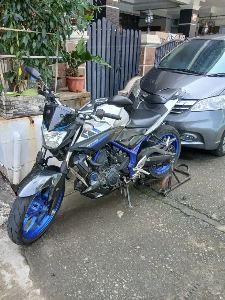 Yamaha MT 25 2016