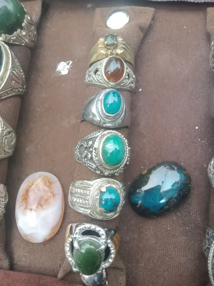 Bacan Minion kura dan gulau coklat