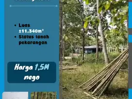 Tanah Pekarangan Lokasi Ngawen Gunung Kidul DIY