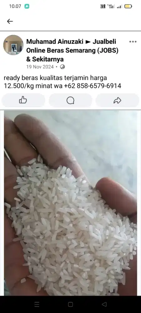 Beras polys istemewa
