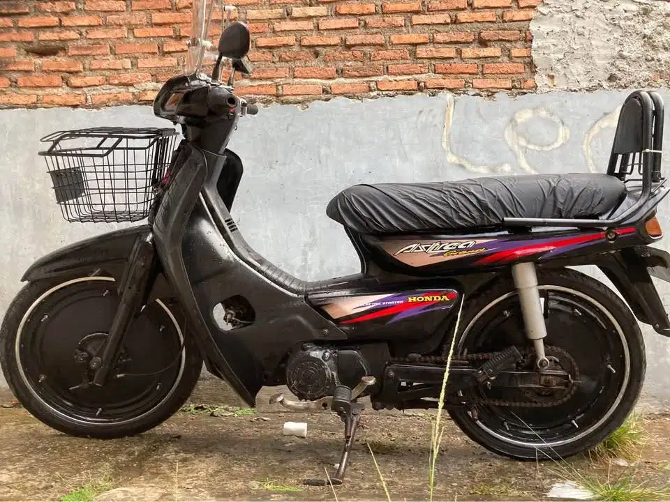 Astrea Grand Bulus