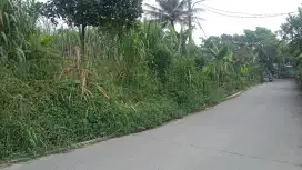 Jual Tanah Strategis pinggit jalan utama kabupaten cocok buat usaha