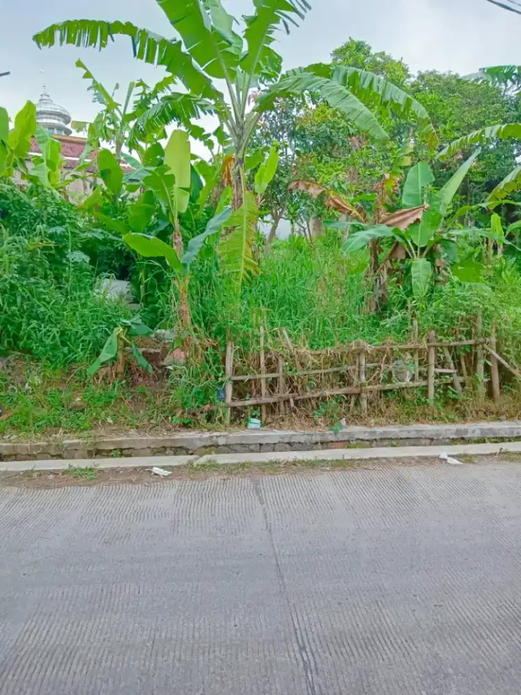 Jual Tanah Strategis pinggit jalan utama kabupaten cocok buat usaha