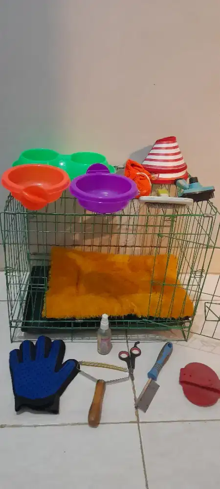 Kandang kucing dan aksesoris