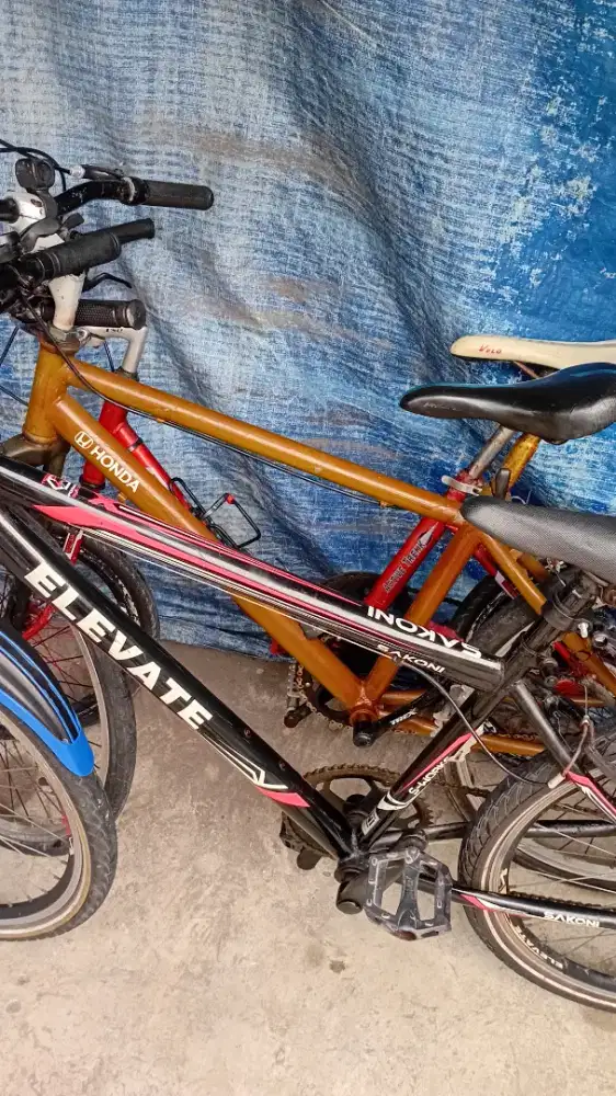 Borongan 2 sepeda MTB dan Minitrack