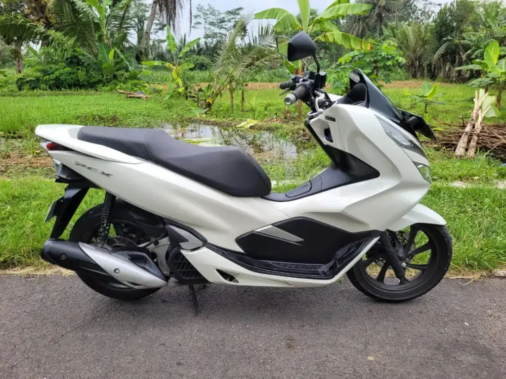 PCX 2020 ABS plat AB Sleman pajak baru