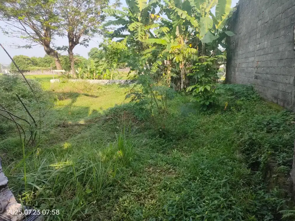 Tanah Pekarangan Dijual