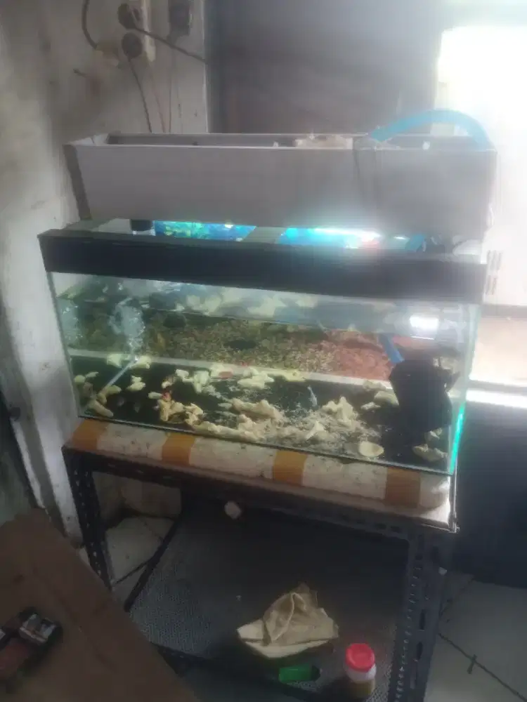 Di jual AKUARIUM satu set