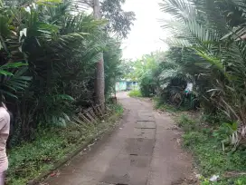 TANAH DI DESA BANGILAN, KAPAS, BOJONEGORO