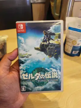 Zelda Tears of The Kingdom Switch