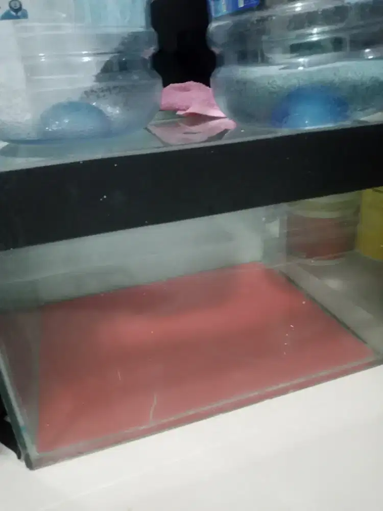 Di jual Aquarium murah