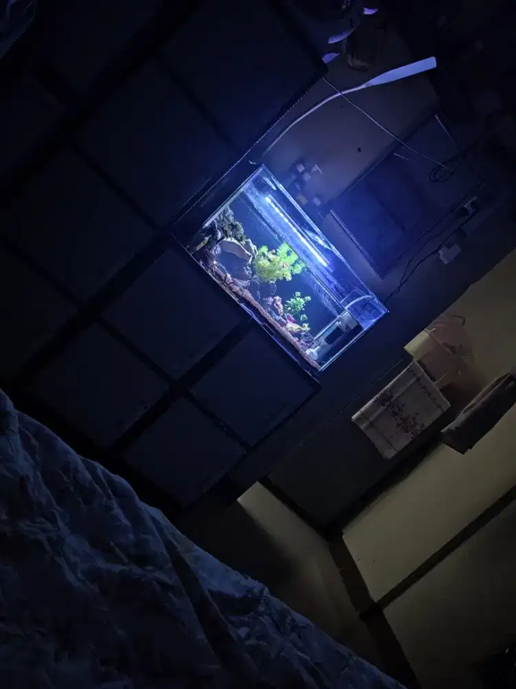 Aquarium full set