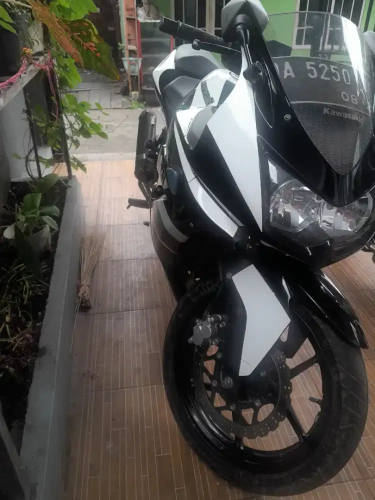 Kawasaki Ninja 2010