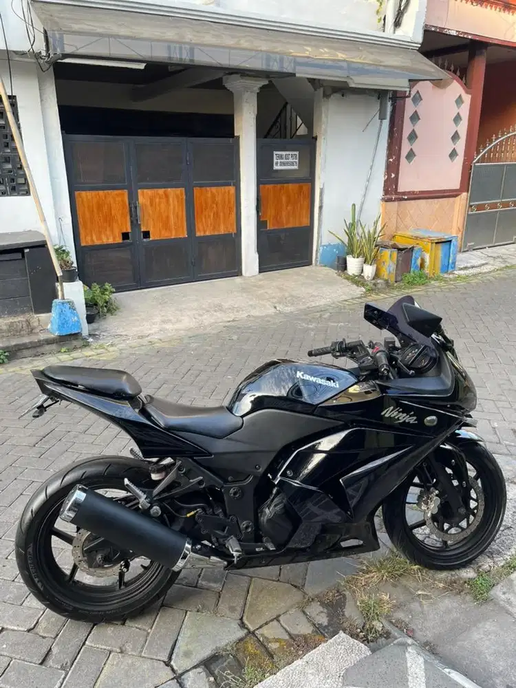 Kawasaki Ninja 250 2009 TERAWAT