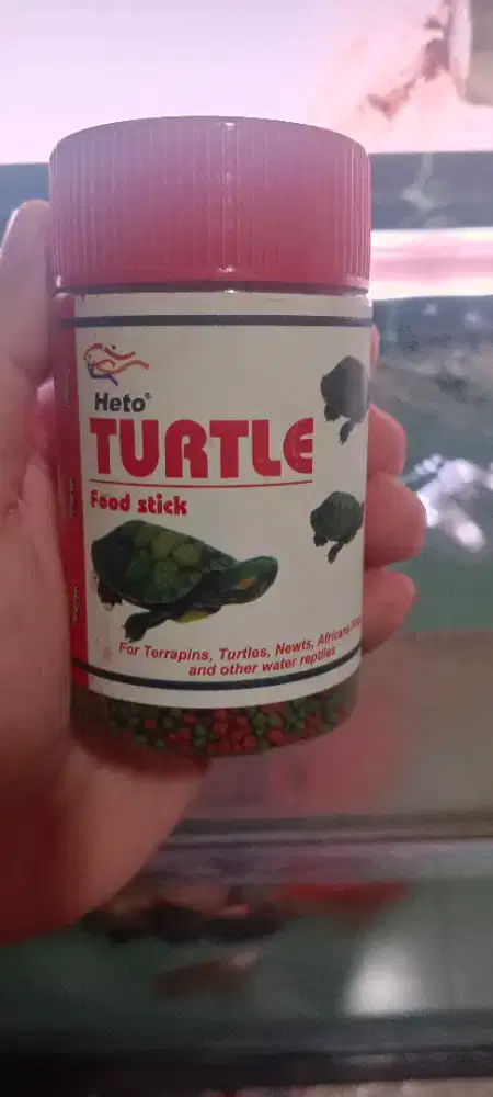 Pakan kura-kura