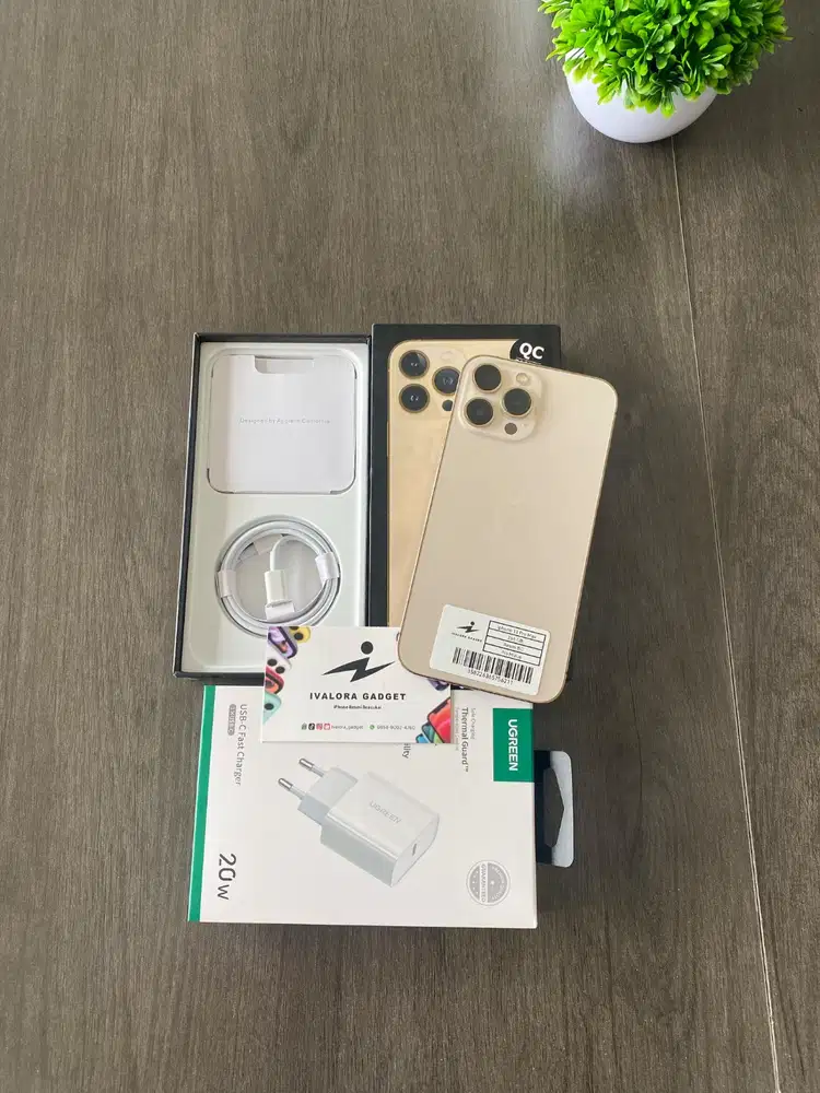 iphone 13 pro max 256gb beacukai gold
