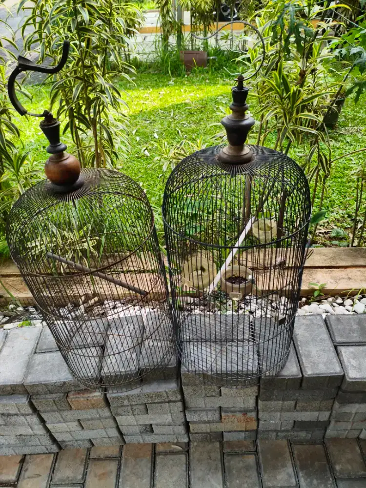 2 sangkar burung love bird