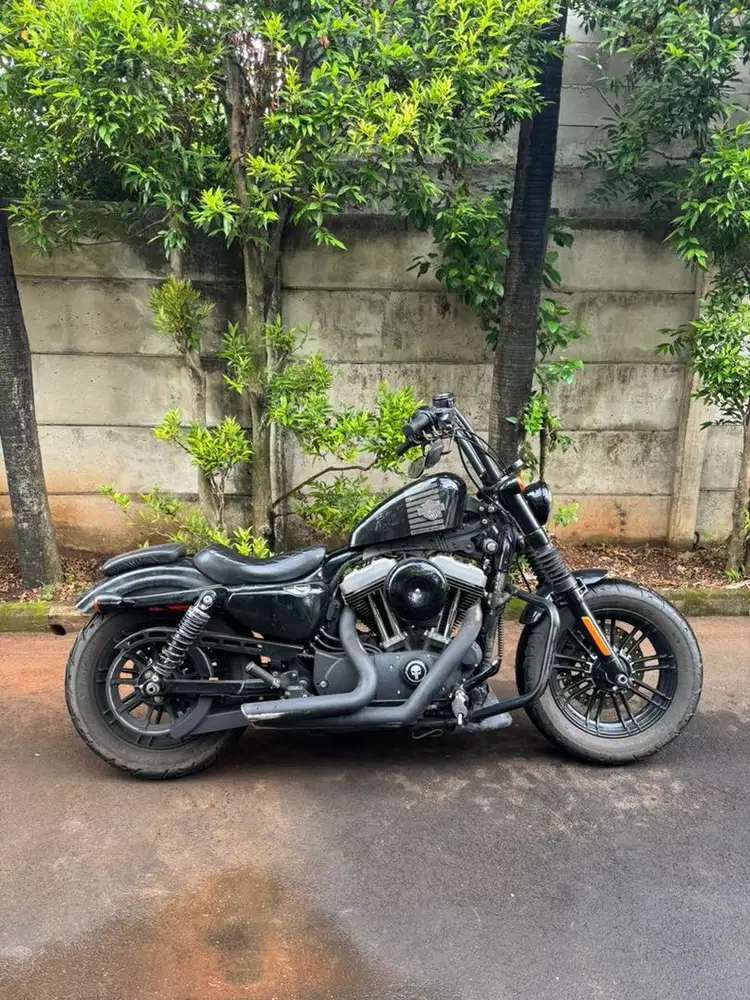 Harley Davidson Sporster 48 1200cc 2017