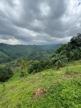 Tanah 2 hektar Dijual SHM