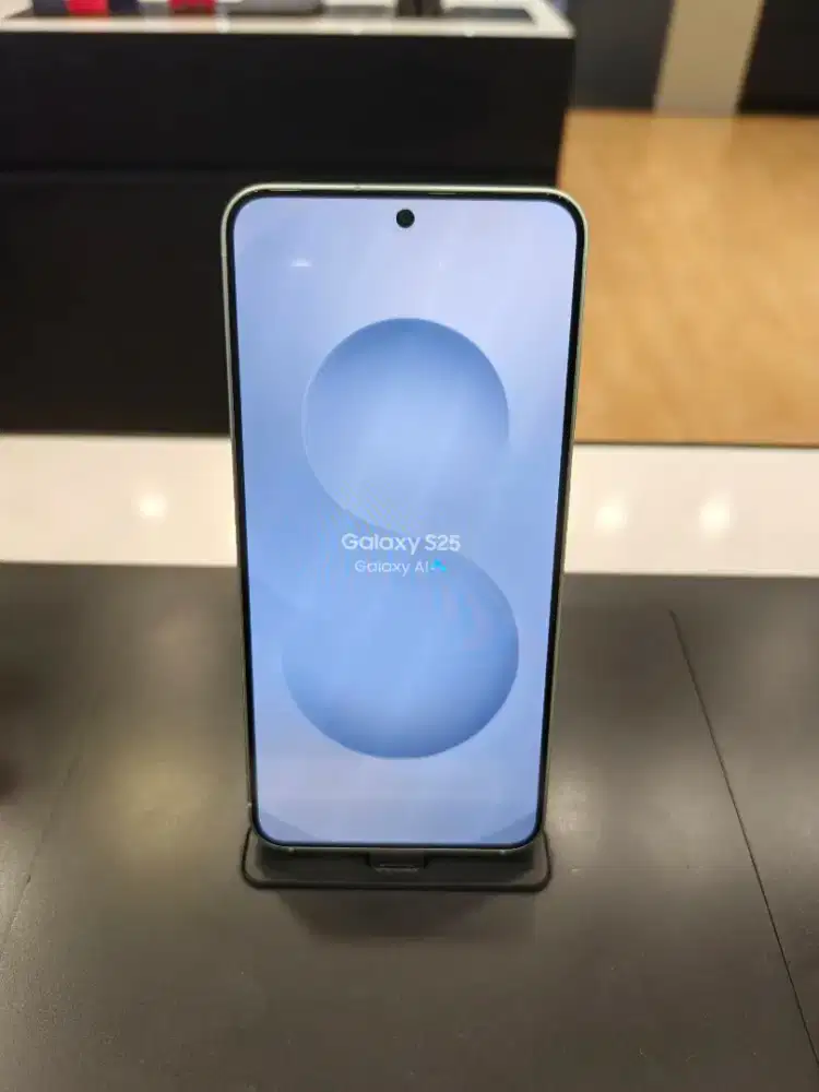 Samsung Galaxy S25 12/256