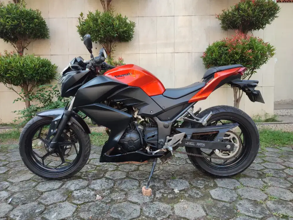 NINJA Z250 TAHUN 2014 TOP GANTENG