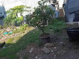 Tanah Strategis siap Bangun dekat kelurahan Pondok Ranggon Jakarta Timur
