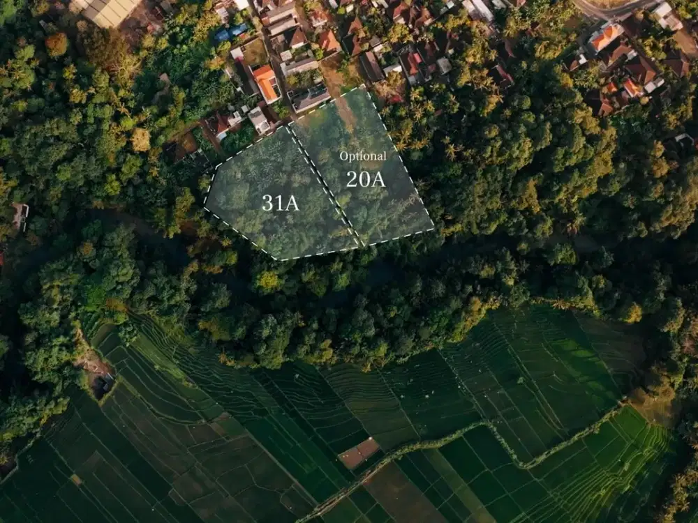 Tanah 3.145 m² dengan Zoning Perumahan Strategis di Cepaka