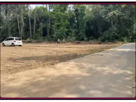 Tanah 1 Jutan Di Jogja Area Pemda Sleman SHM Pekarangan
