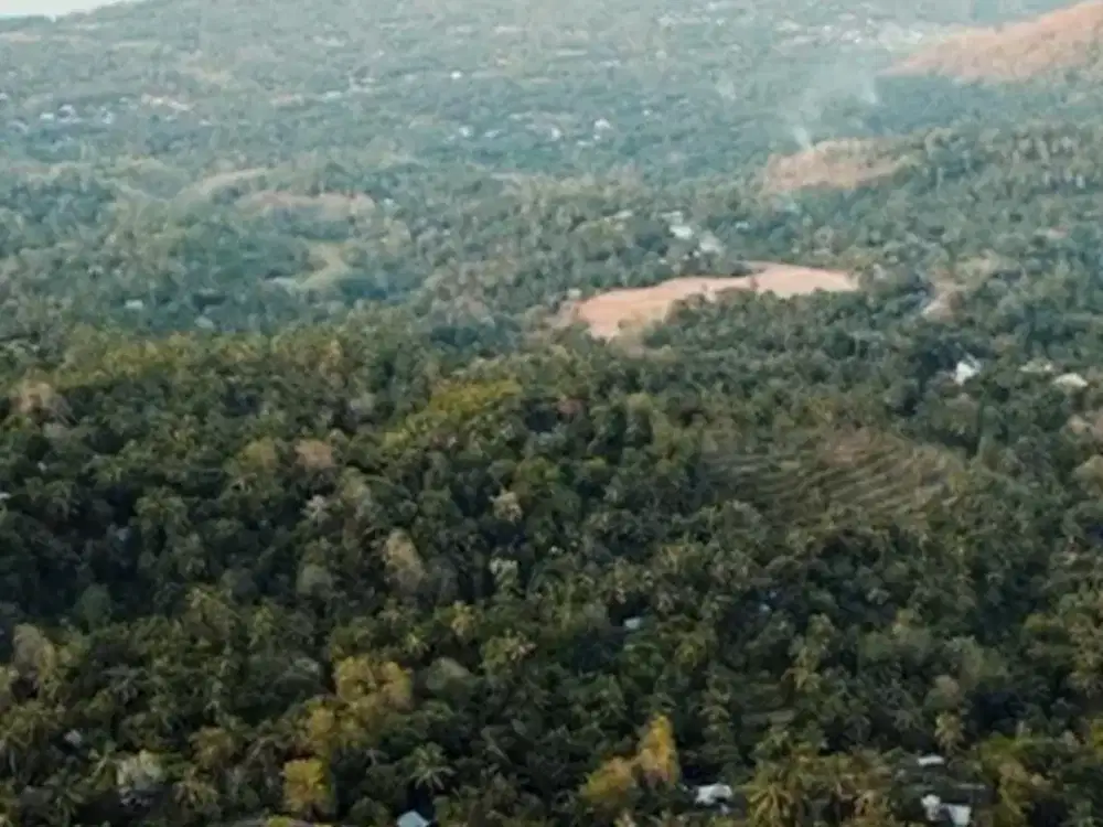 Dijual Tanah Strategis Area Madenan Tejakula Bali