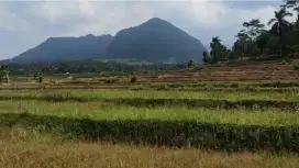 Dijual Tanah Strategis di jalur Wisata Sukamakmur Desa Sukamakmur