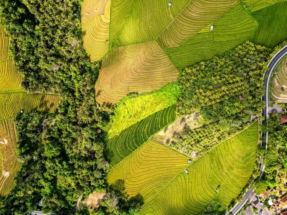 Dijual Tanah Turun Harga Area Tabanan Bali